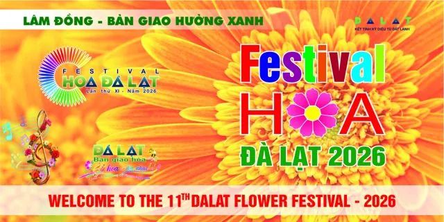 Pano tấm lớn – Sắc hoa đồng tiền