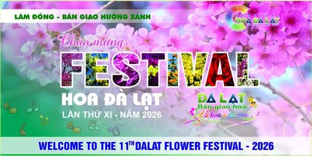 Pano tấm lớn – Sắc mai anh đào